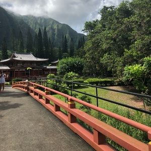 Meet your Posher, Diana